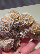 Load image into Gallery viewer, Desert Rose Bundle 4" by 4"