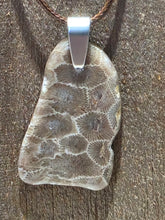 Load image into Gallery viewer, Freeform Petoskey Stone Necklace (Medium)