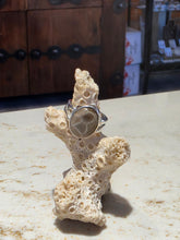 Load image into Gallery viewer, Ring Petoskey Stone Sterling Silver Oval