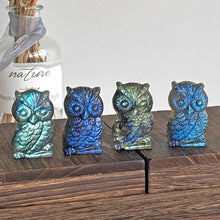 Load image into Gallery viewer, Owl Natural Blue Labradorite Carving