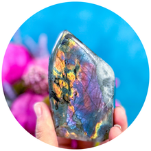 Load image into Gallery viewer, Purple Labradorite Crystal Freeform, Rainbow Labradorite: 250-299 gram