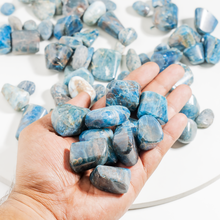 Load image into Gallery viewer, Apatite Tumbled Stone