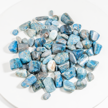 Load image into Gallery viewer, Apatite Tumbled Stone