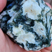 Load image into Gallery viewer, India Tree Agate Rough-Approximately 1.5-2 Inches (one piece)
