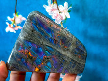 Load image into Gallery viewer, Purple Labradorite Crystal Freeform, Rainbow Labradorite: 250-299 gram