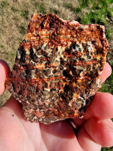 Load image into Gallery viewer, Mexican Leopard Skin Rhyolite Rough-1.-2" (one Piece)