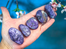 Load image into Gallery viewer, Tumbled Polished Charoite