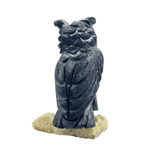 Load image into Gallery viewer, Calcite Owl On Base