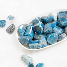 Load image into Gallery viewer, Apatite Tumbled Stone