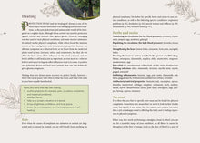 Load image into Gallery viewer, Complete Smudging Handbook by Markus Schirner: Paperback; 176 pages / English
