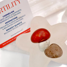 Load image into Gallery viewer, Intention Crystals Set: Fertility
