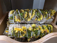 Organic White Sage 4 In Yellow Sinuata