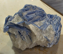 Load image into Gallery viewer, Kyanite In Quartz Matrix 12
