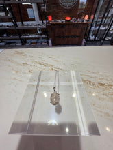 Load image into Gallery viewer, Necklace Petoskey Stone Sterling Silver
