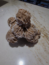 Load image into Gallery viewer, Desert Rose Bundle 4" by 4"
