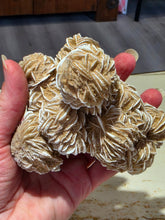 Load image into Gallery viewer, Desert Rose Bundle 4" by 4"
