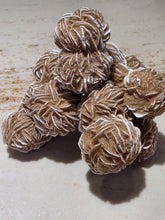 Load image into Gallery viewer, Desert Rose Bundle 4" by 4"
