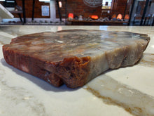Load image into Gallery viewer, Petrified (Fossilized) Wood Slice
