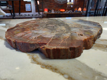 Load image into Gallery viewer, Petrified (Fossilized) Wood Slice
