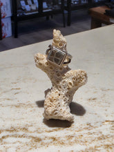 Load image into Gallery viewer, Ring Petoskey Stone Sterling Silver Square
