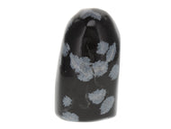 Snowflake Obsidian Freeform
