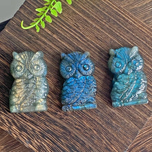 Load image into Gallery viewer, Owl Natural Blue Labradorite Carving
