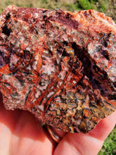 Load image into Gallery viewer, Mexican Leopard Skin Rhyolite Rough-1.-2" (one Piece)

