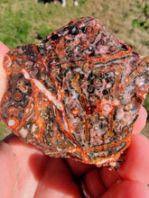 Load image into Gallery viewer, Mexican Leopard Skin Rhyolite Rough-1.-2" (one Piece)
