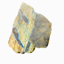 Load image into Gallery viewer, Labradorite Slab - Blue Yellow and Green Flash
