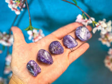Load image into Gallery viewer, Tumbled Polished Charoite
