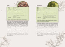Load image into Gallery viewer, Complete Smudging Handbook by Markus Schirner: Paperback; 176 pages / English

