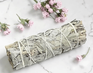 Organic White California Sage 4 In