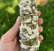 Organic White Sage 4 In White Sinuata