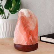 Small Natural Himalayan Salt Crystal Lamp with USB