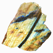 Load image into Gallery viewer, Labradorite Slab - Blue Yellow and Green Flash
