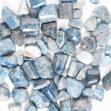 Load image into Gallery viewer, Apatite Tumbled Stone
